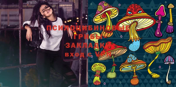 бошки Балахна