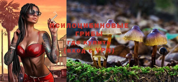 бошки Балахна