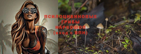 бошки Балахна